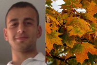 Muž souložil nahý s hromadou listí: Soudce mu doporučil, aby přehodnotil svůj život