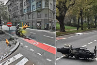 Žena (†35) a pes zemřeli po srážce s motorkou: Takhle k nehodě došlo!