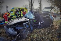 Auto na Brněnsku vyletělo ze silnice a narazilo do stromu: Žena na místě zemřela