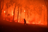 Ohnivé peklo u Sydney má na svědomí dobrovolný hasič: Založil prý až 7 požárů, aby si užil akci