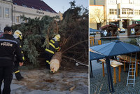 Na náměstí v Holešově spadl vánoční strom: Prudký poryv větru ho doslova ukroutil a strhl na přístřešky trhovců!