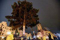 Na Staroměstském náměstí stojí vánoční strom. Urazil 120kilometrovou štreku, rozsvítí se v sobotu