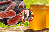Aféra s antibiotiky v medu pokračuje: Ukrýval látku k léčbě lepry! Co čeká výrobce?
