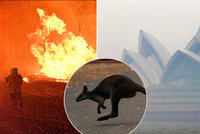 Ohnivé peklo v Austrálii: Hasiči bojují se stovkou požárů, Sydney dusí štiplavý kouř