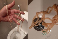 Zděšení na toaletě: Muž si z konečníku vytáhl desetimetrovou tasemnici!