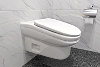 Toaletní průlom: Šikmá mísa má odradit od vysedávání na WC, bolí z ní stehna