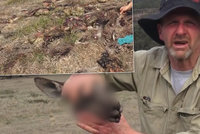 Hrůzný nález v horách: Muž našel jedenáct uřezaných klokaních hlav!
