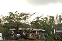Vánoční peklo v exotickém ráji: Tajfun zabil na Filipínách 16 lidí, zemřel i chlapec (†13)