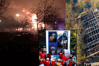 Novoroční tragédie v zoo: Požár zabil třicet opic!