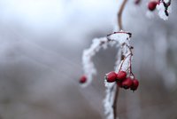 Třetí mrazivé ráno po sobě, na Šumavě bylo -18 °C. Víme, kdy se v Česku oteplí