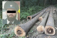 Mladého tatínka Iva zabil padající strom! Dalšího muže zavalily dvě tuny dřevotřísky