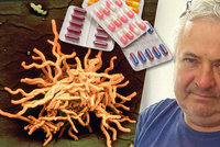 Testy ukázaly boreliózu, antibiotika nezabírala! Pravdu o Ladislavově (59) nemoci odhalila až biopsie ledvin