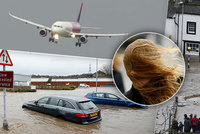 ONLINE: Do Česka dorazil orkán. Bouře zatopila domy i auta, děsivě „pohazovala“ s letadly