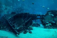 Hon za pokladem: Potápěči pátrají po 400 let staré lodi, má být plná zlata