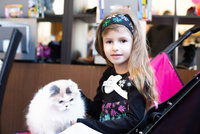 Splněný sen: Skleněná Adélka dostala k narozeninám kočičku! Má stejnou vadu kostí