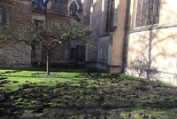 Aktivisté popadli rýče a rozkopali univerzitě trávník. Došlápla si na ně policie