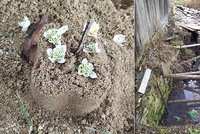 Malou holčičku (†6) našli na Olomoucku mrtvou ve strouze: Na pískovišti zbyla jen bábovička