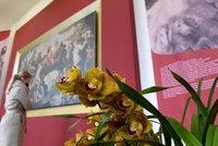 Rubens v záplavě barevných květin: Ve skleníku na Pražském hradě začala výstava Předjaří