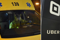 Nakažený taxikář leží na JIPce: 96 pasažérů je zavřeno v karanténě, 10 jich má pozitivní nález