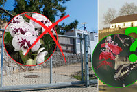 Květena v době koronaviru? Botanická zahrada v Troji zrušila oblíbenou výstavu, další je v ohrožení