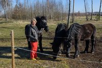 Český cirkus kvůli koronaviru uvázl bez peněz v Lotyšsku: Místní se o zvířata i majitele postarali