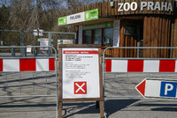 Zavřená Zoo Praha: Od magistrátu dostane velkou finanční injekci