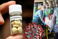 Účinný lék proti koronaviru: Česko doufá v pomoc od Japonců, ti ho testovali ve Wu-chanu