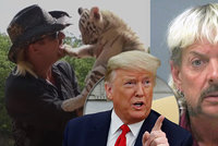 Milost díky Netfixu? Trump chce propustit Pána tygrů na svobodu!