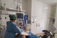 „Koronanemocnice“ na výstavišti v Brně: Hotovo do týdne, ale kdo tam bude léčit?