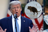Trump řeší problém s krysami. První dáma nasadila roušku prezidentovi navzdory