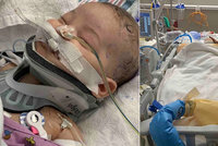 Novorozenec bojuje o život: Postřelil ho přítel maminky! Není naděje, říkají doktoři
