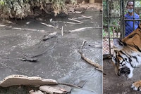 Majitel zoo kvůli koronavirové krizi zkrachoval: Zvířata nechal v klecích napospas!