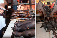 Pečení netopýři, syroví hadi, tisíce psů: Lidé volají po zákazu „mokrých trhů“ v Asii