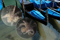 Bez turistů Benátky prospívají: V průzračně čistém kanálu natočili chobotnici!