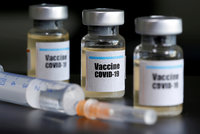 Vakcína bude do září, slíbila farmaceutická společnost. Její experti o tom pochybují