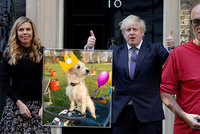 Johnson řeší skandál svého poradce, premiérova snoubenka první narozeniny jejich psa