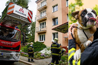 Nádherné fotky hasičů z Liberce: Z hořícího bytu zachránili pejska, ten jim za to poděkoval!