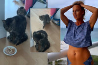 Sexbomba Belohorcová v obavách: Kočka se zasekla ve Frankfurtu! Zachází s ní jako s kufrem