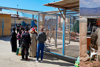 Migranti si stěžují na nelidské podmínky ve španělském táboře. Do Evropy nesmí
