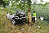 Dva mrtví na Litoměřicku: Auto sjelo ze silnice a narazilo do stromu