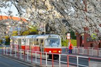 Do pražských ulic vyjíždí kulturní tramvaj: Speciální vůz představí i živé koncerty kapel