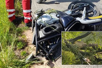 V Liberci zemřel motocyklista (†47): Zřejmě na něj spadl strom!