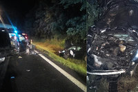 Na Českolipsku se srazila tři auta: 10 zraněných! Hasiči museli zachraňovat koně