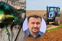 „Situace je stále horší.“ V Česku vymírá hmyz, expert promluvil o invazích i sekání trávy