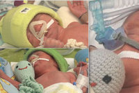Zoe, Benedikt, Vincent: Maminka před porodem trojčátek ještě okopávala záhonky