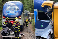 Děsivá srážka vlaků na Karlovarsku: Zemřeli dva lidé! Podezření padá na strojvedoucího