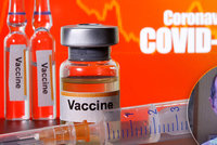 Vakcína bude připravená do roka, míní britský vědec. Z Česka zaznělo důrazné varování