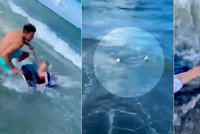 Na chlapečka v moři si brousil zuby žralok! Na poslední chvíli ho zachránil policista