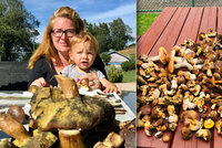 Ráj houbařů v Krkonoších: Děti tu nosí denně z lesa koše hřibů!