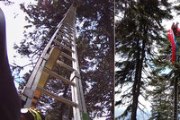 Paraglidista skončil na stromě: Zachraňovat ho museli hasiči